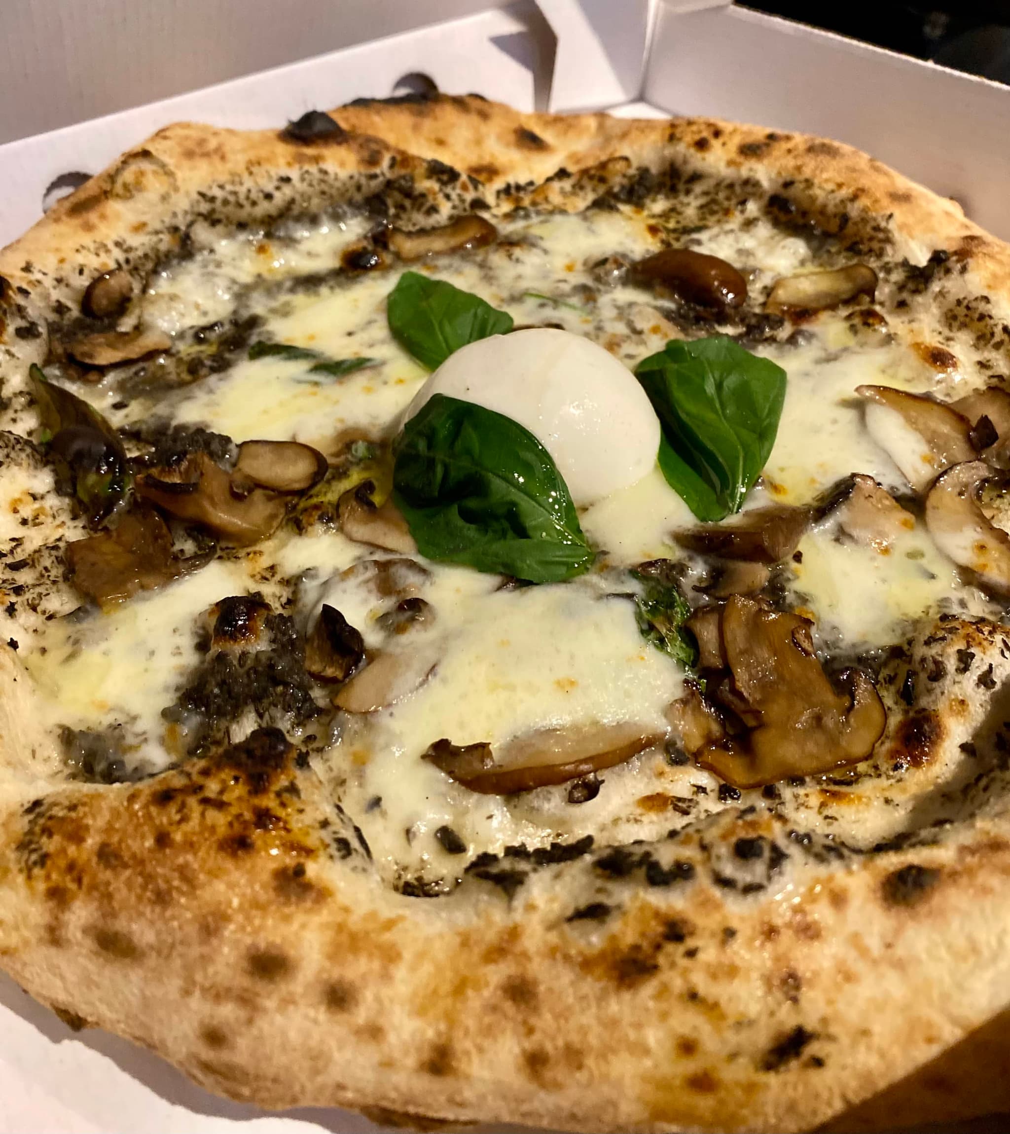 Truffle, mushrooms & Burrata